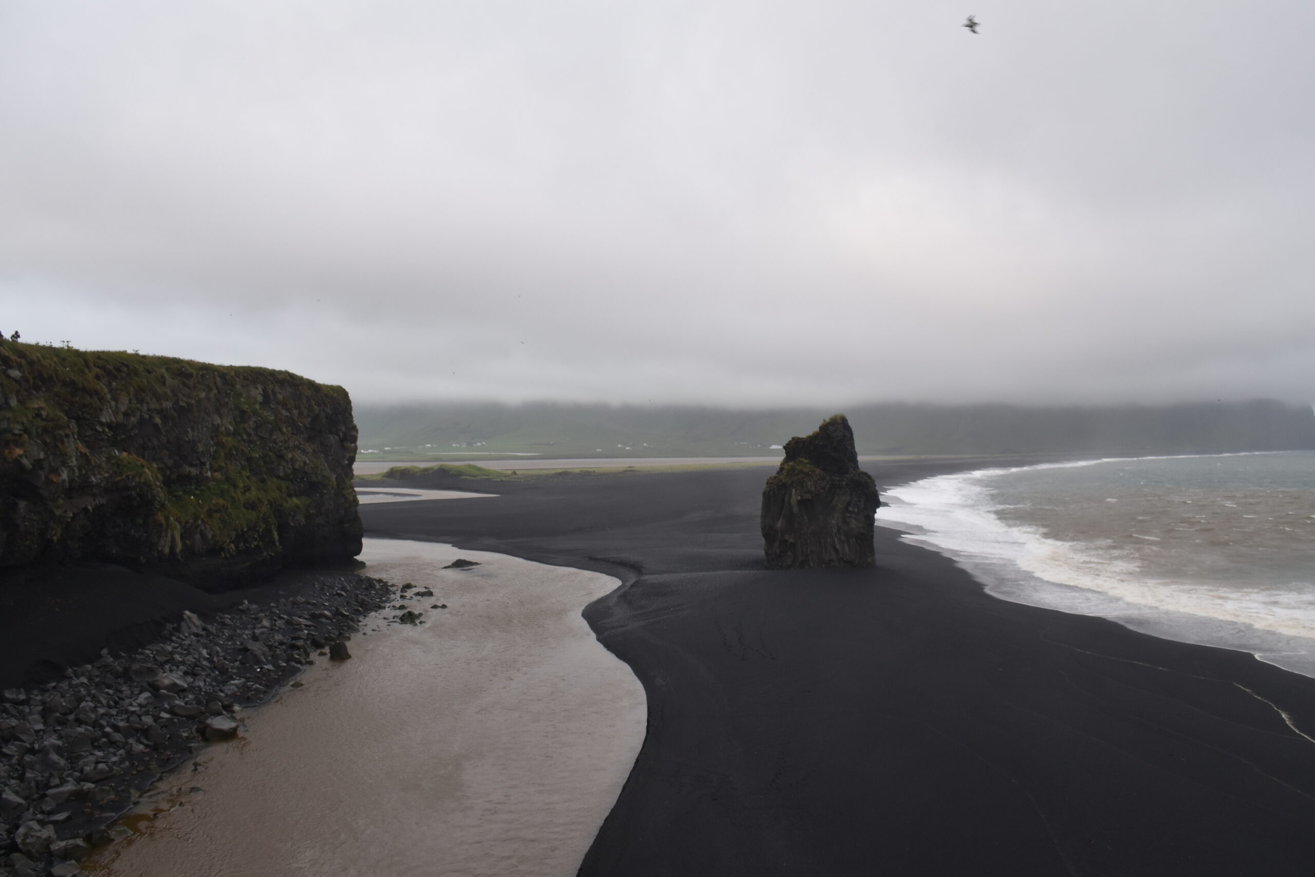 Islanda_07 - Reynisfjara 13