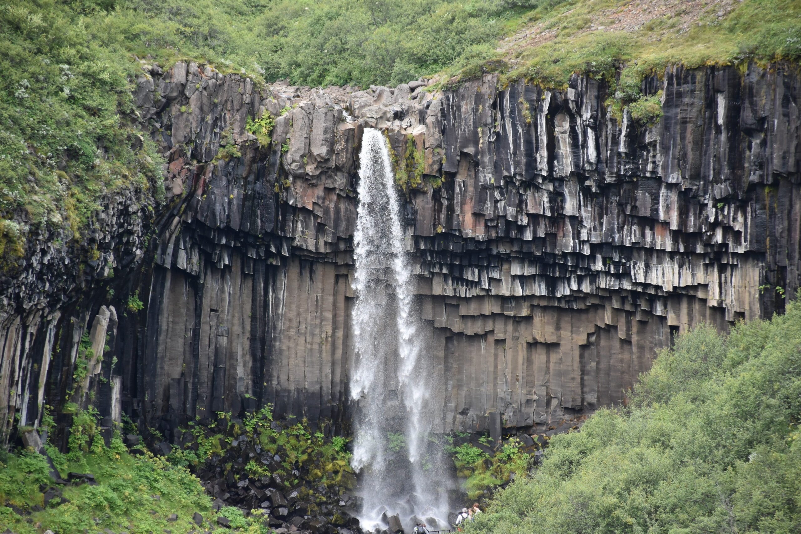 Islanda_10 - Vatnajökull National Park 20 Al cospetto di Svartifoss