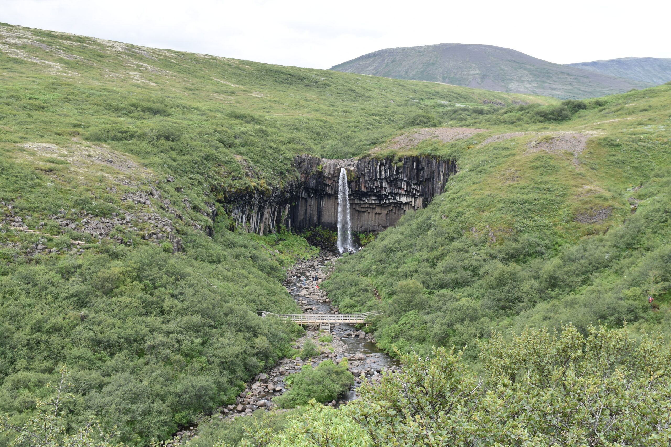 Islanda_10 - Vatnajökull National Park 21 In lontananza spunta Svartifoss