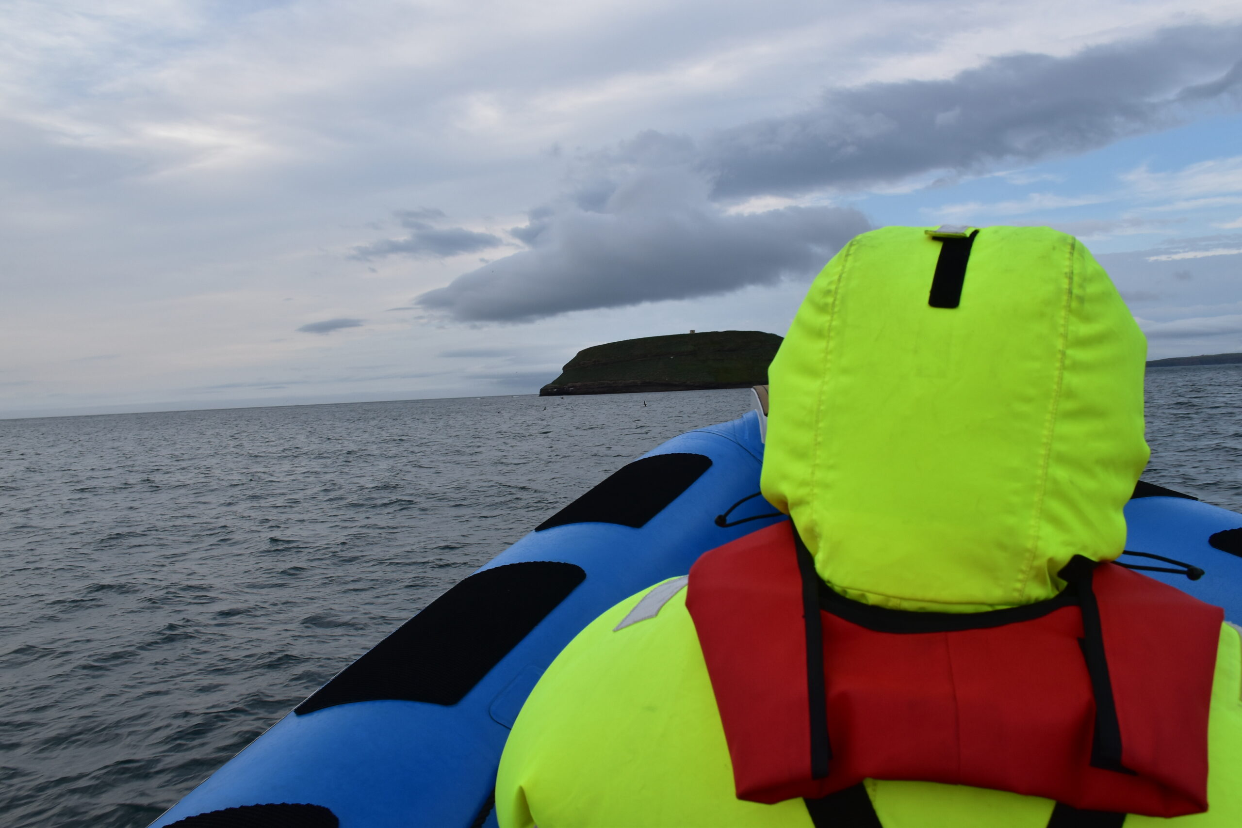Islanda_18 - Húsavík 006 L'avventura sul gommone per scovare le balene