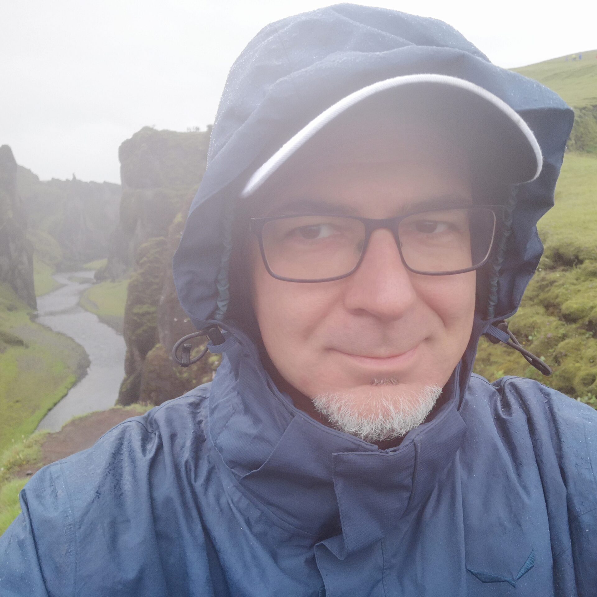 Sulle pareti del canyon di Fjaðrárgljúfur