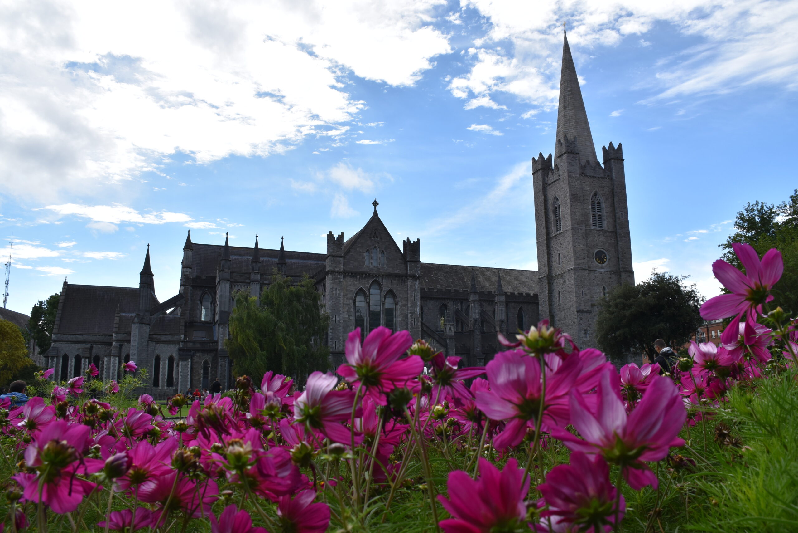Irlanda_12 - Dublino 135 La Cattedrale di San Patrizio