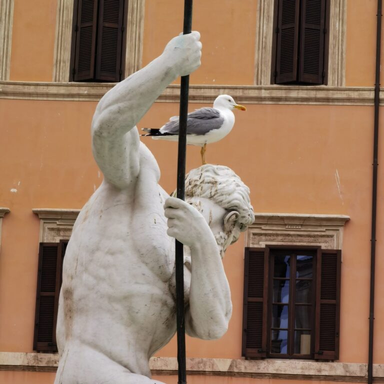 Roma_IMG_20210523_114843 Gabbiano su una statua di Piazza Navona