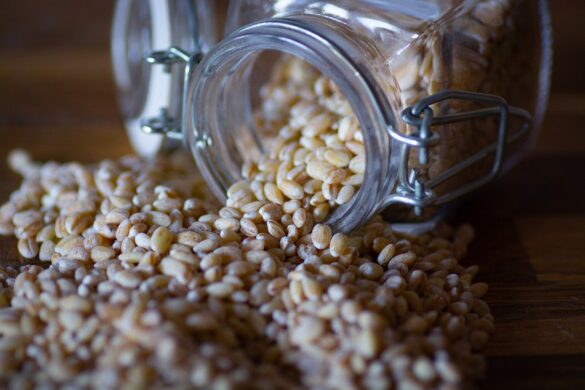 CIBO_cereals-3709571_1280 Cereali