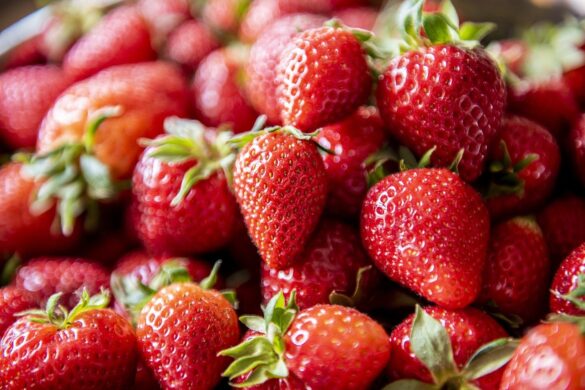CIBO_strawberry-5079237_1280 Fragole