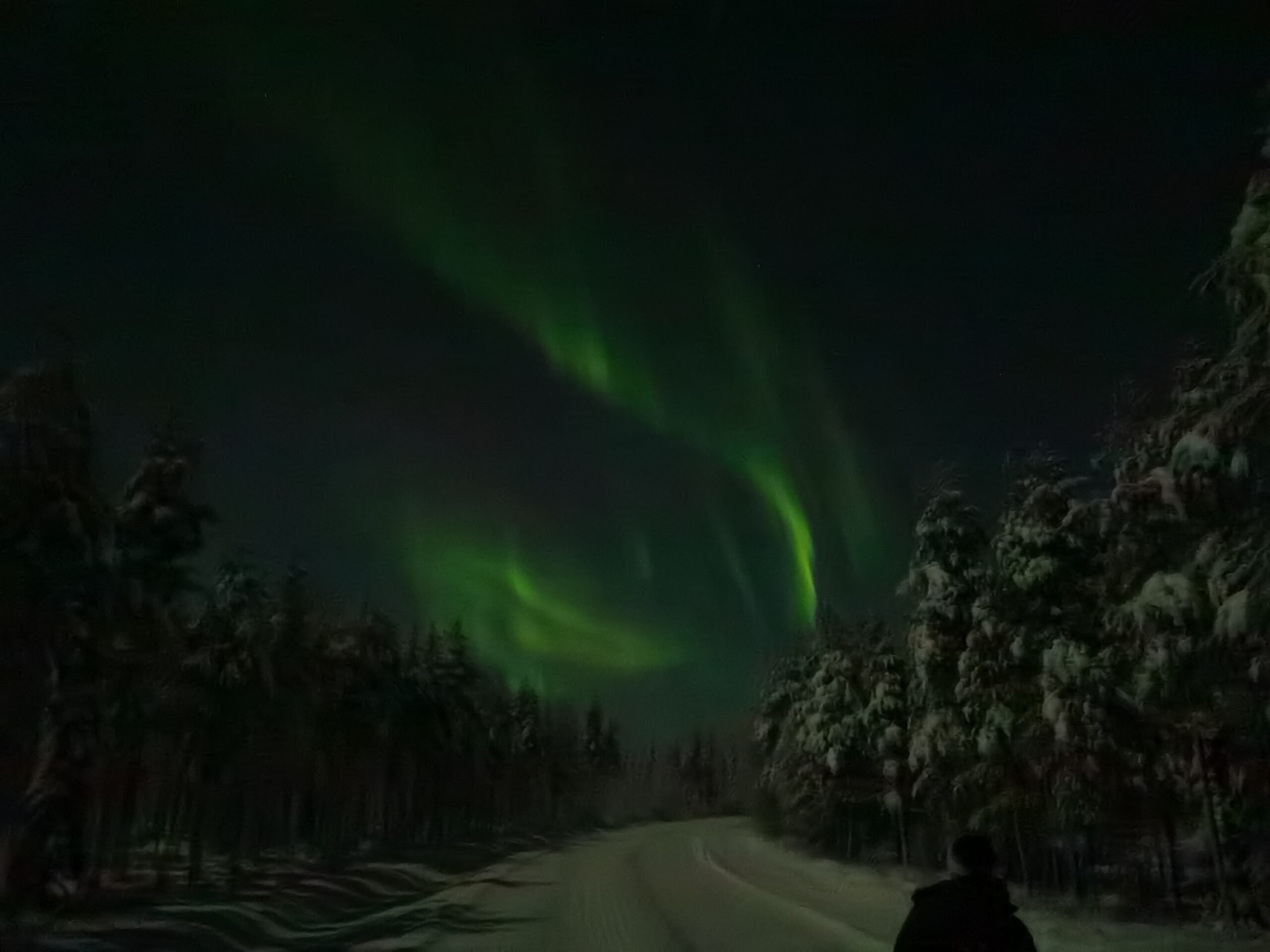 Aurora Boreale