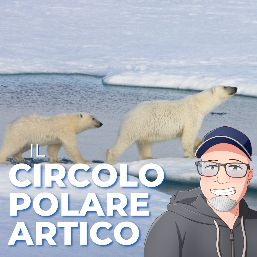 PULSANTI_Il Circolo Polare Artico