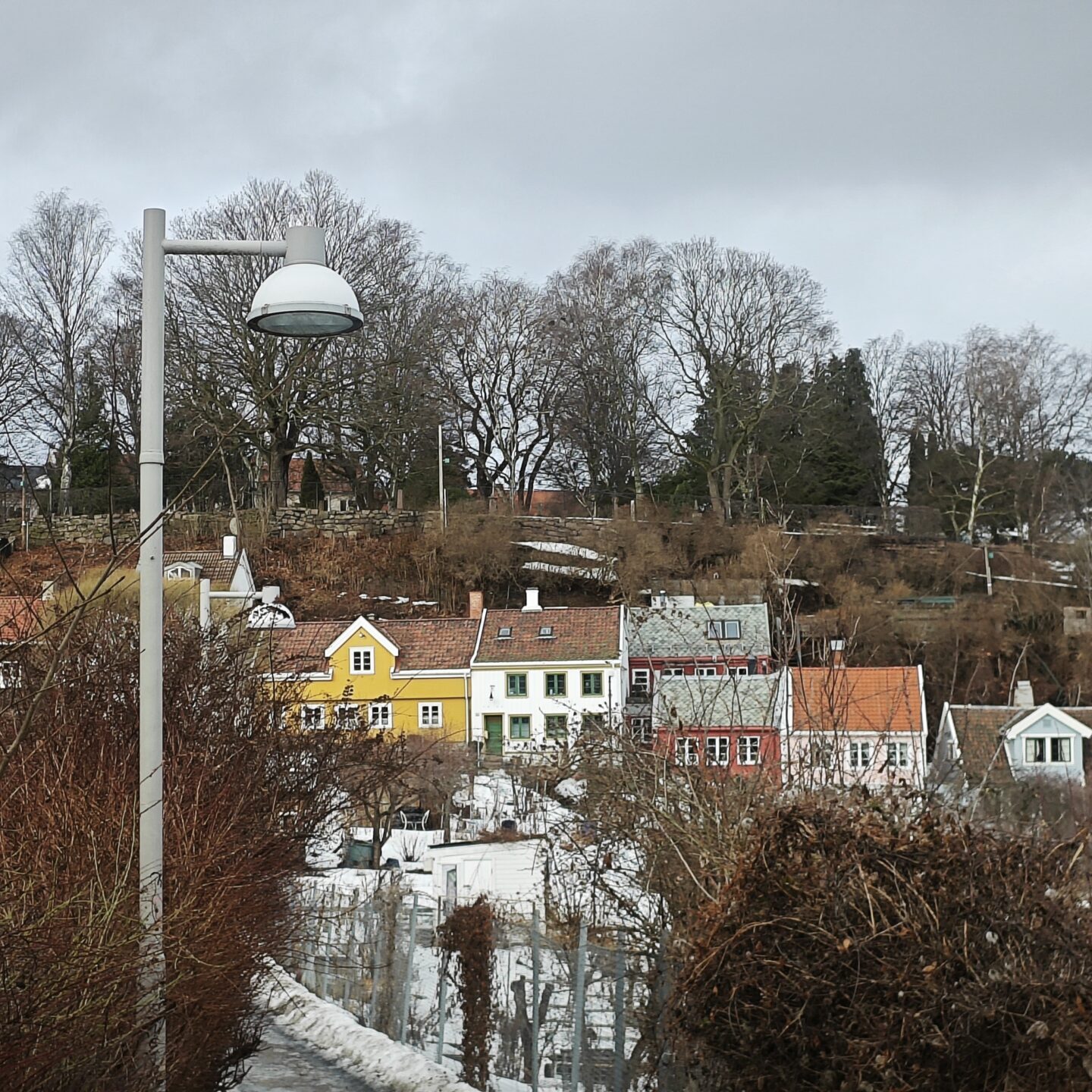 Norvegia_28 - Telthusbakken 2 Panoramica di Telthusbakken