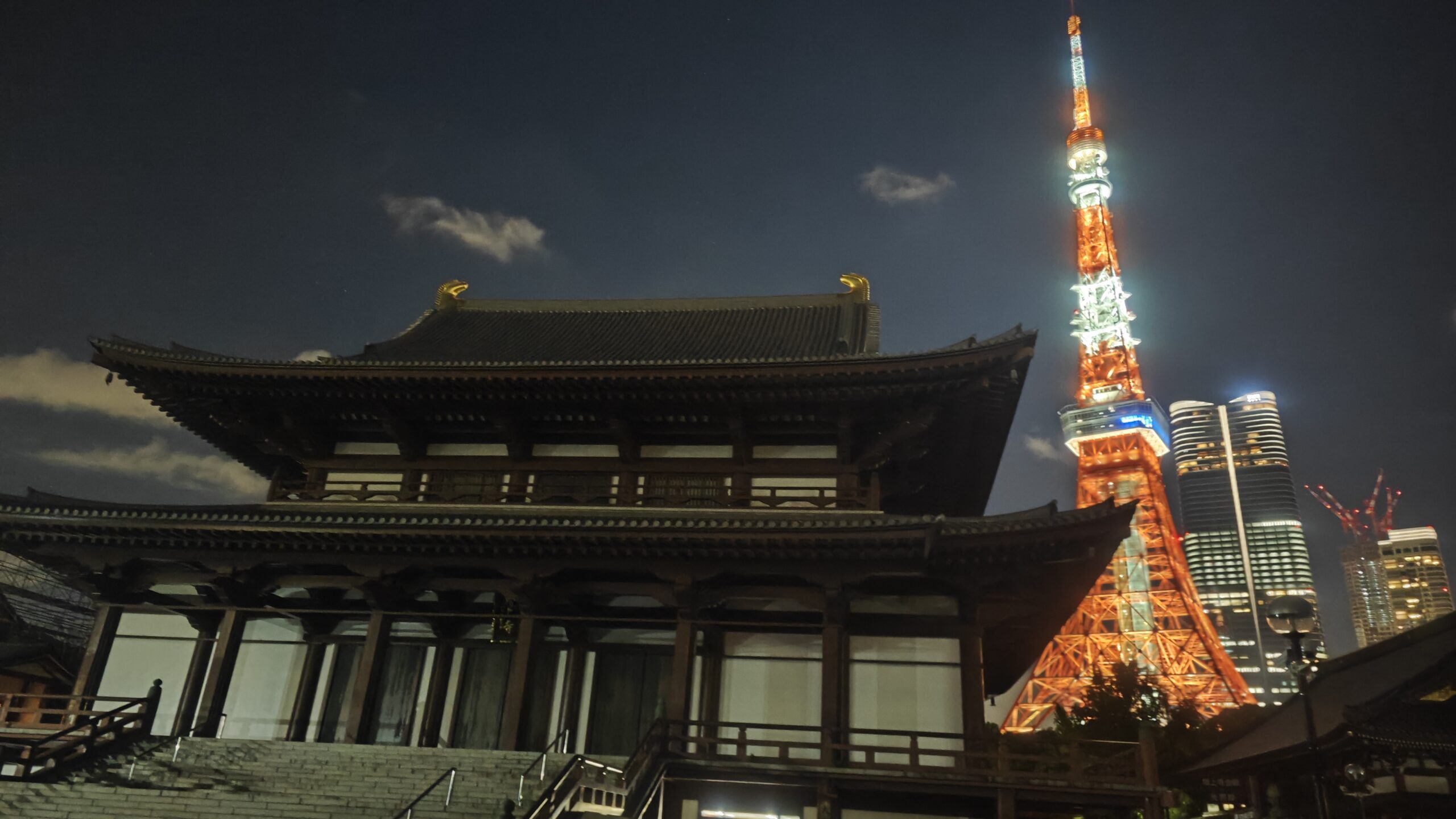 Japan - Tokyo - 6.2 - Zojo-ji e Tokyo Tower 19 Il Zojo-ji e la Tokyo Tower