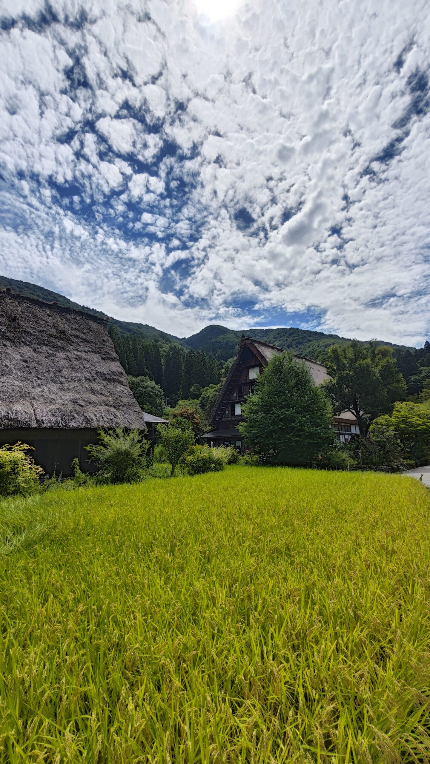 Japan - Shirakawa-go 010 Paesaggi suggestivi tra cielo e terra